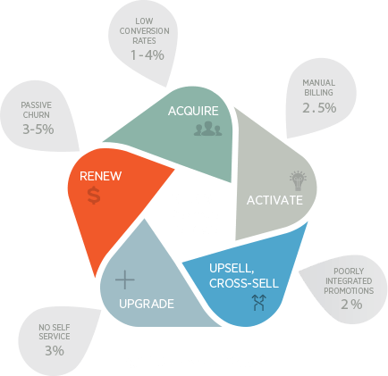 Digital Commerce Lifecycle